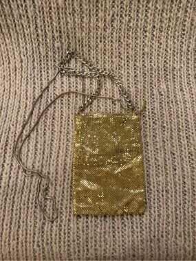 Gold Mesh Crossbody Pouch
